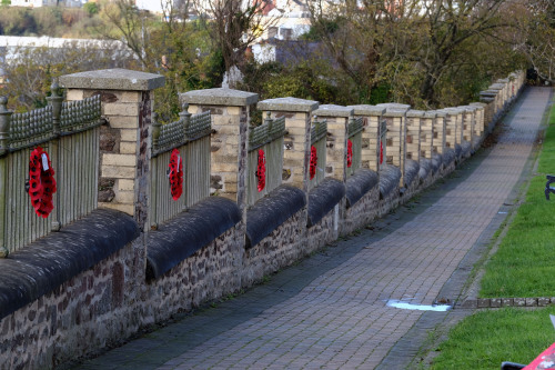 Milford poppy walk 2022